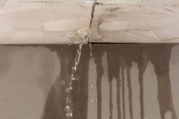 Professional Commercial Water Damage Restoration technician working in Brownsville, MN
